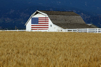 Barn it the USA