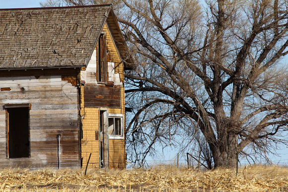 Abandoned House, Eastern Plains, Colorado