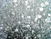 Air Bubbles in Ice