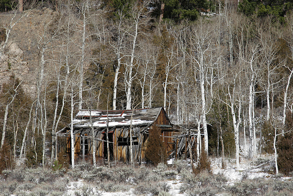 Old Cabin, Poudre Canyon, CO